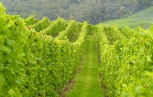 Image courtesy of dan/FreeDigitalPhotos.com