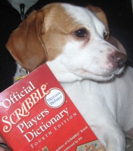 Scrabble dictionary