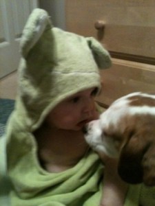 Stanley froggie towel looking at scrabble